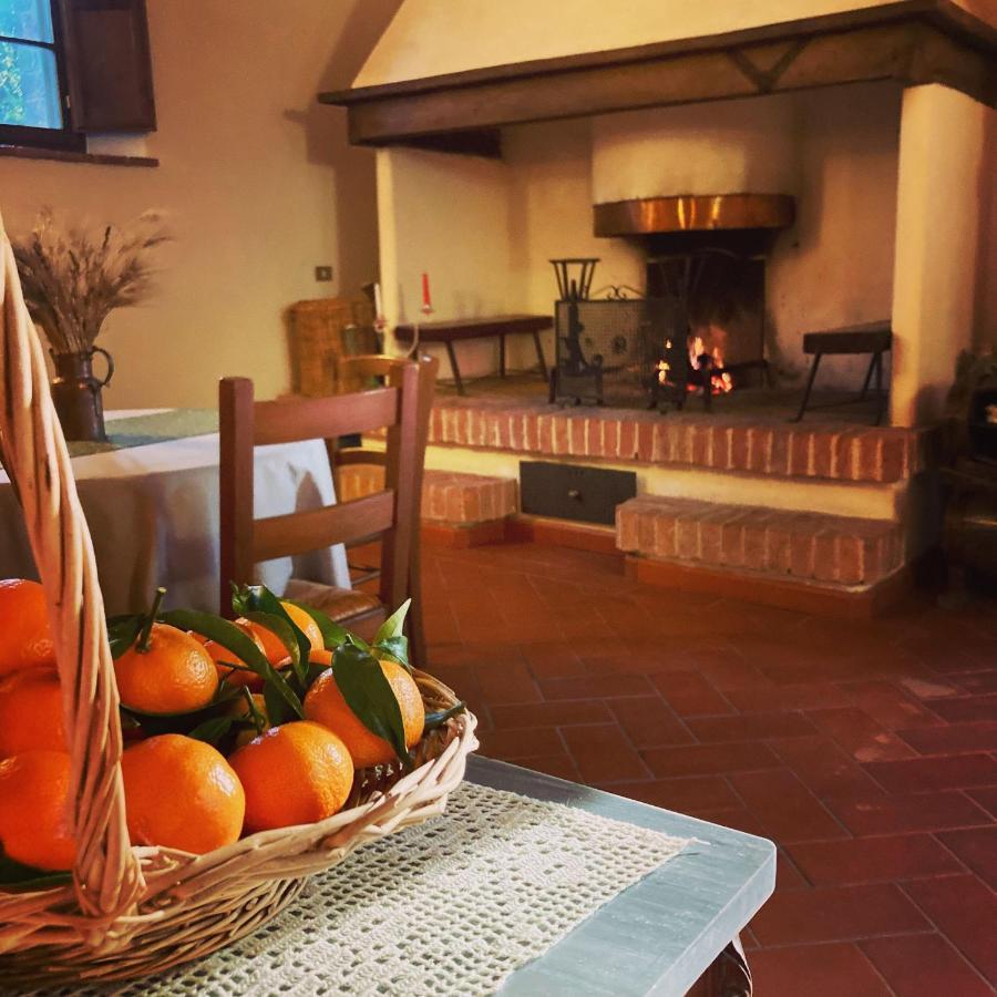 Podere La Chiusella B&B Rapolano Terme Extérieur photo