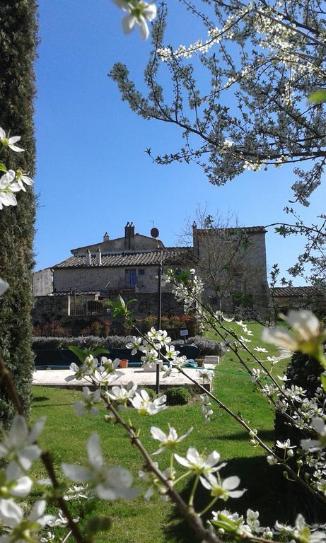 Podere La Chiusella B&B Rapolano Terme Extérieur photo